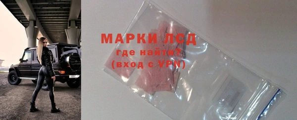 PSILOCYBIN Елабуга