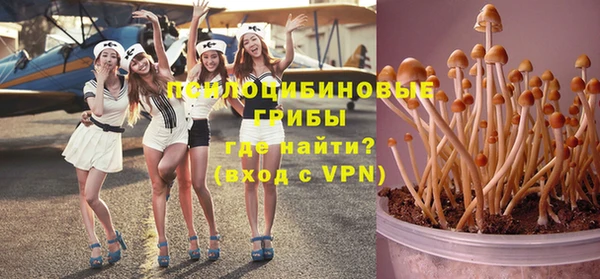 PSILOCYBIN Елабуга