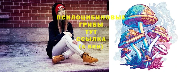 PSILOCYBIN Елабуга