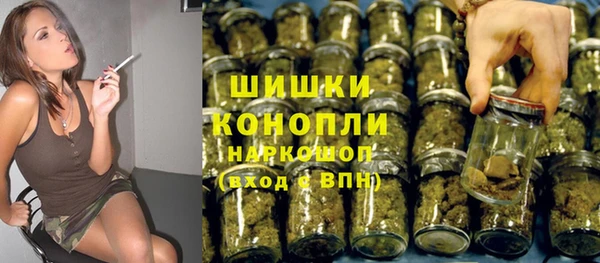 PSILOCYBIN Елабуга