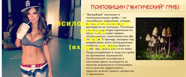 PSILOCYBIN Елабуга