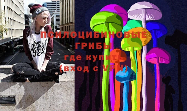 гидропоника Ельня