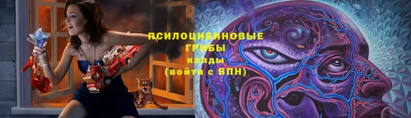 PSILOCYBIN Елабуга