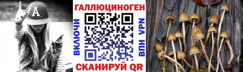 Галлюциногенные грибы Psilocybine cubensis  Купить  Нерюнгри 